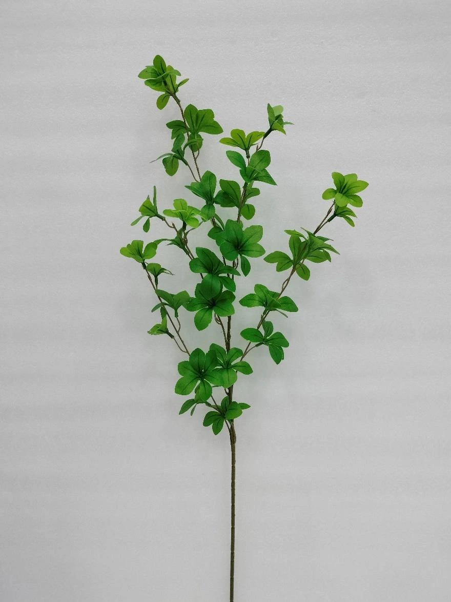 Fenugreek Methi Leaves Stick Big